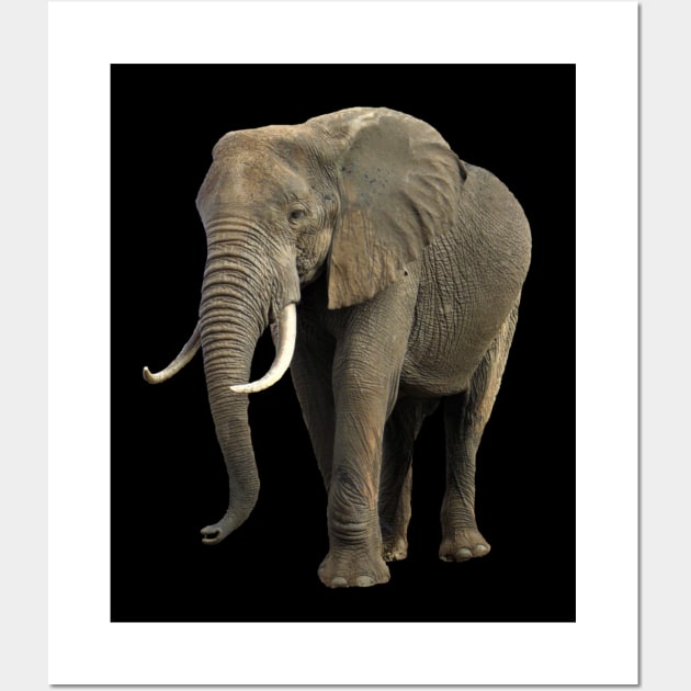 Elephant in Kenya / Africa Wall Art by T-SHIRTS UND MEHR
